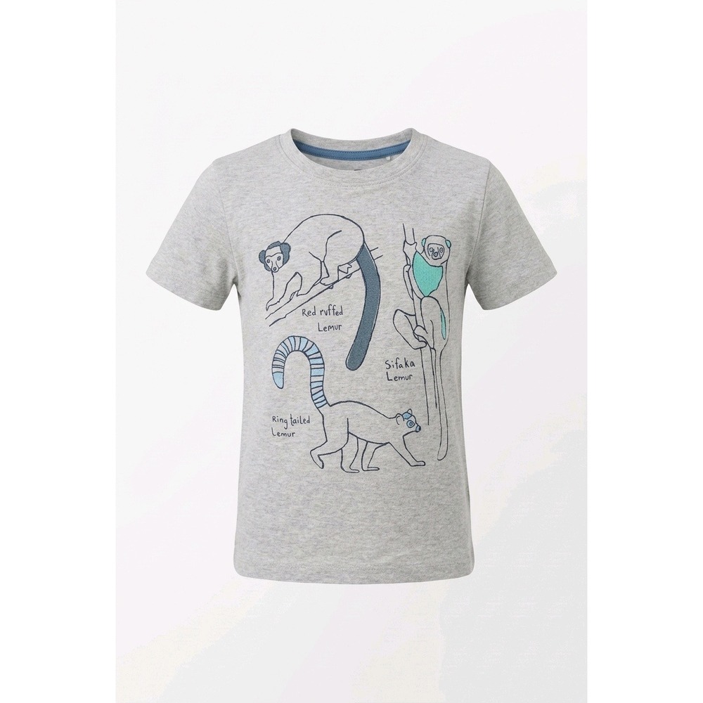 Tea Collection Kids Heather Gray Lemur Graphic T-Shirt Size 6 Animal Print Tee